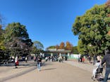 恩賜上野動物園に投稿された画像（2024/11/25）