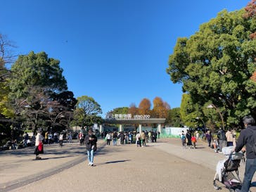 恩賜上野動物園に投稿された画像（2024/11/24）