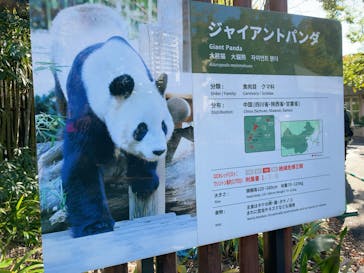 恩賜上野動物園に投稿された画像（2024/11/24）