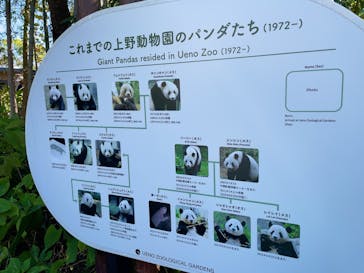 恩賜上野動物園に投稿された画像（2024/11/24）