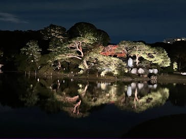 六義園に投稿された画像（2024/11/24）