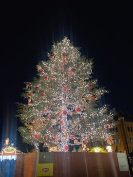 Christmas Market in 横浜赤レンガ倉庫 2025に投稿された画像（2024/11/24）