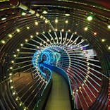 あらかわ遊園に投稿された画像（2024/11/25）