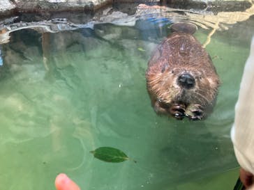 NIFREL（ニフレル）に投稿された画像（2024/11/25）