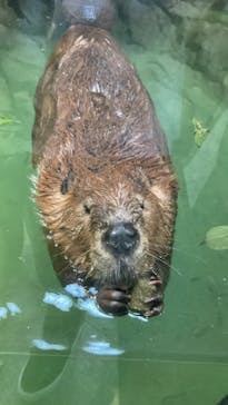 NIFREL（ニフレル）に投稿された画像（2024/11/25）