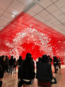 塩田千春　つながる私（アイ）　@大阪中之島美術館に投稿された画像（2024/11/25）