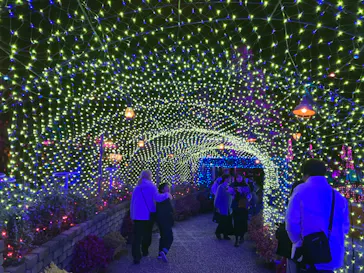 ひらかたパークに投稿された画像（2024/11/25）