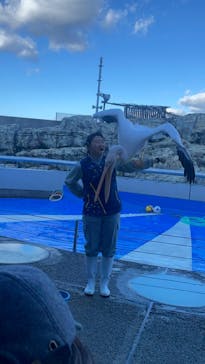 大分マリーンパレス水族館 「うみたまご」に投稿された画像（2024/11/25）