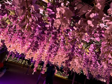 東京メガイルミに投稿された画像（2024/11/25）