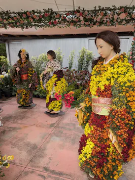 ひらかたパークに投稿された画像（2024/11/25）