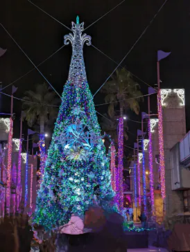 ひらかたパークに投稿された画像（2024/11/25）