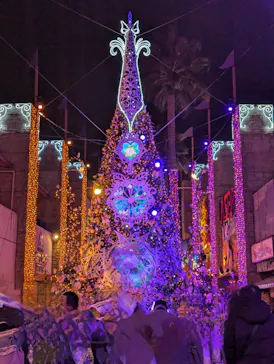 ひらかたパークに投稿された画像（2024/11/25）