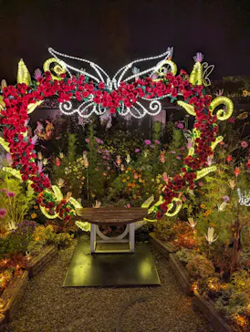 ひらかたパークに投稿された画像（2024/11/25）