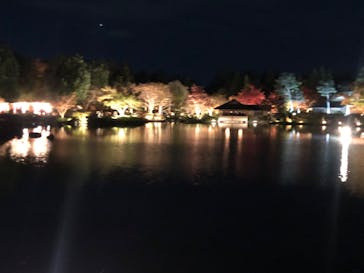 国営昭和記念公園 秋の夜散歩に投稿された画像（2024/11/25）