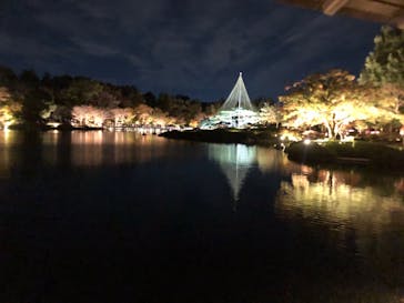 国営昭和記念公園 秋の夜散歩に投稿された画像（2024/11/25）