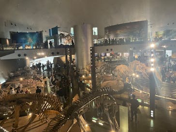 福井県立恐竜博物館に投稿された画像（2024/11/25）