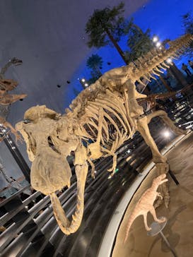 福井県立恐竜博物館に投稿された画像（2024/11/25）