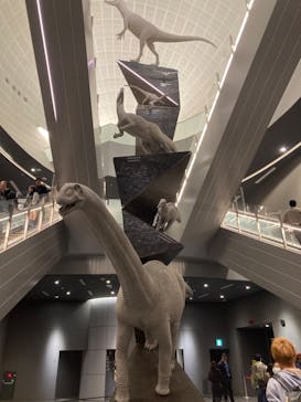 福井県立恐竜博物館に投稿された画像（2024/11/25）