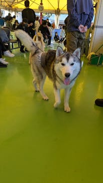 つくばわんわんランドに投稿された画像（2024/11/25）