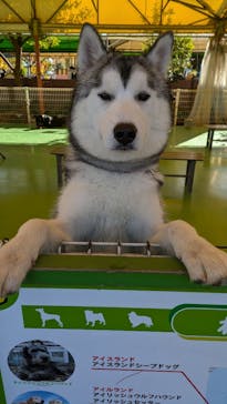 つくばわんわんランドに投稿された画像（2024/11/25）