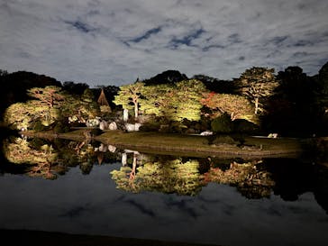 六義園に投稿された画像（2024/11/25）