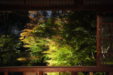 江戸東京たてもの園に投稿された画像（2024/11/25）