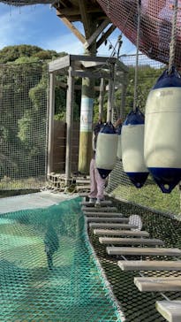 空中冒険遊具あみ～ご！に投稿された画像（2024/11/25）