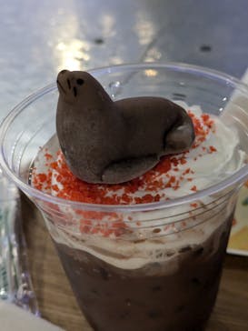 すみだ水族館に投稿された画像（2024/11/25）