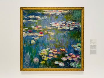 モネ 睡蓮のとき（国立西洋美術館）に投稿された画像（2024/11/25）