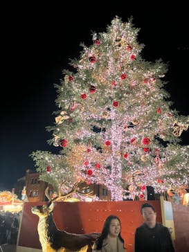 Christmas Market in 横浜赤レンガ倉庫 2025に投稿された画像（2024/11/25）