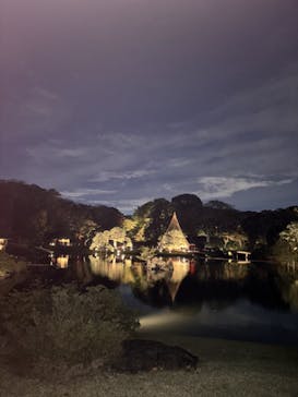 六義園に投稿された画像（2024/11/25）