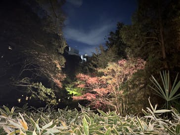 六義園に投稿された画像（2024/11/25）