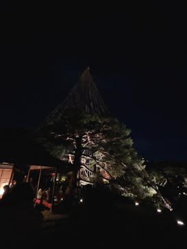 六義園に投稿された画像（2024/11/25）