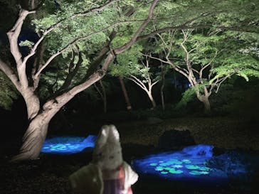 六義園に投稿された画像（2024/11/25）