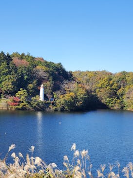 ムーミンバレーパークに投稿された画像（2024/11/25）