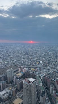 ハルカス300(展望台)に投稿された画像（2024/11/25）