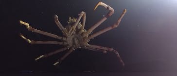 竹島水族館に投稿された画像（2024/11/25）