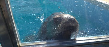 竹島水族館に投稿された画像（2024/11/25）