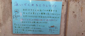 竹島水族館に投稿された画像（2024/11/25）