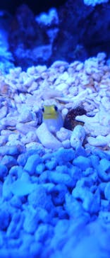 竹島水族館に投稿された画像（2024/11/25）