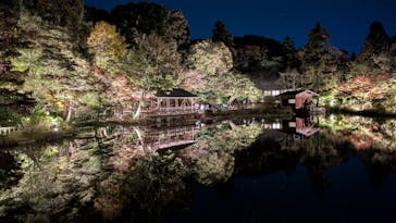 名古屋市東山動植物園に投稿された画像（2024/11/25）
