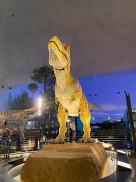 福井県立恐竜博物館に投稿された画像（2024/11/25）