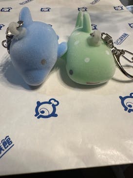 のとじま水族館に投稿された画像（2024/11/25）