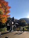 彫刻の森美術館に投稿された画像（2024/11/25）