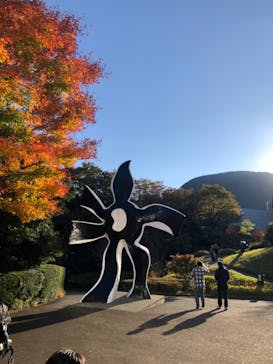 彫刻の森美術館に投稿された画像（2024/11/25）
