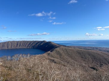 のぼりべつクマ牧場に投稿された画像（2024/11/25）