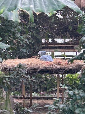 神戸どうぶつ王国に投稿された画像（2024/11/25）