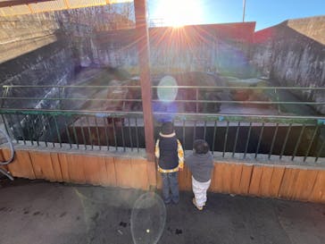 奥飛騨クマ牧場に投稿された画像（2024/11/25）