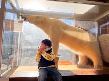 奥飛騨クマ牧場に投稿された画像（2024/11/25）