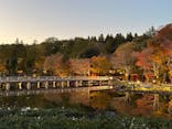 国営昭和記念公園 秋の夜散歩に投稿された画像（2024/11/25）